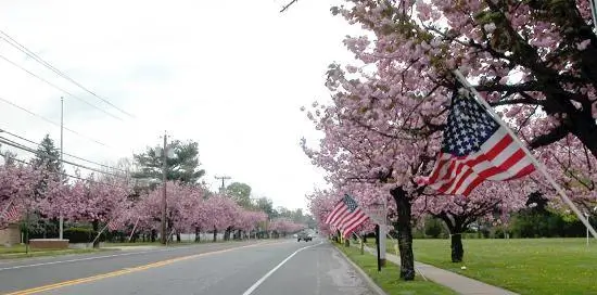 Cherry Hill, NJ