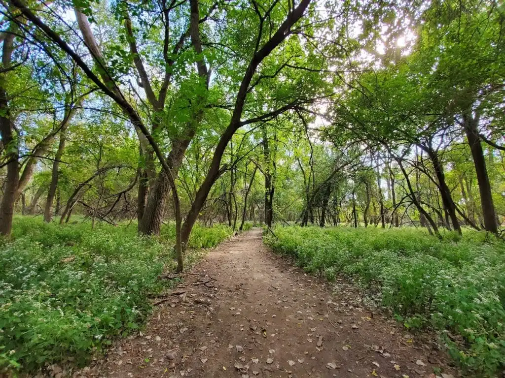 The Palmyra Cove Nature Park
