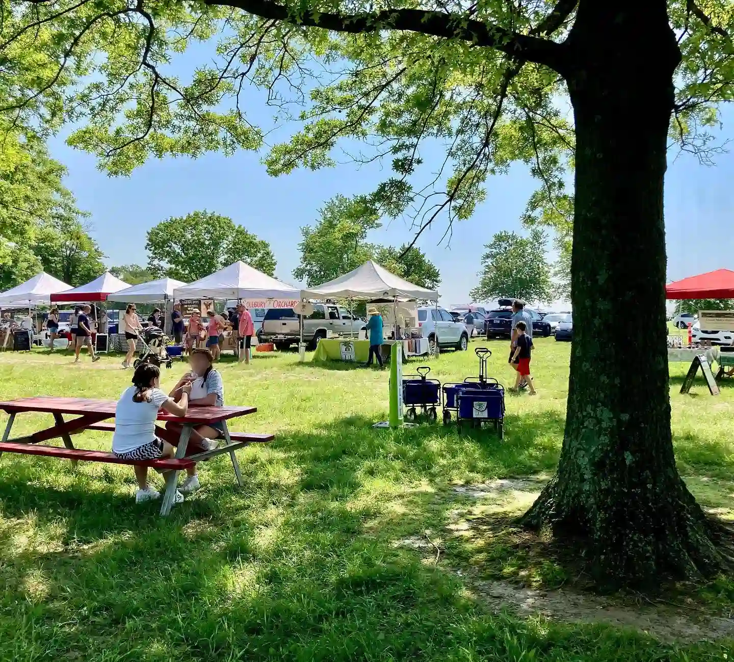 Wrightstown Farmers Market