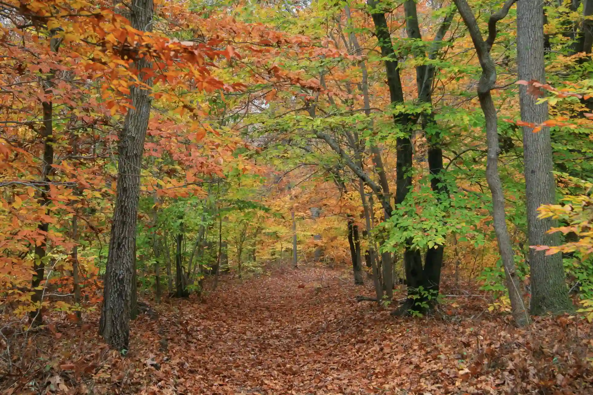 Rancocas State Park
