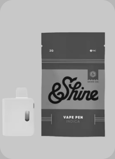 Shine Ice Cream Cake 2G Disposable